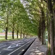 Nocheの画像