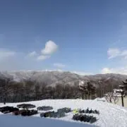 ariskの画像