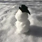 ましか