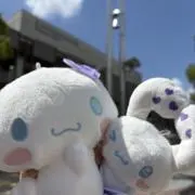あおいの画像