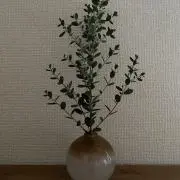 カオリンの画像