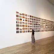 おまめの画像