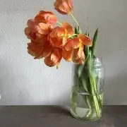 Sundayの画像