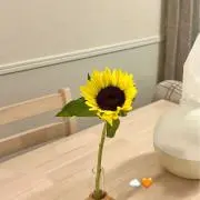 ★ちぇる★即決OK！即日発送！の画像