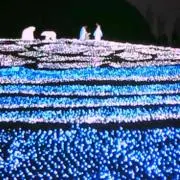 はるたくまま