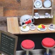 とあ。の画像
