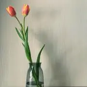 kii.の画像