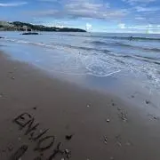 りんごの画像