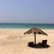 ゆうの画像