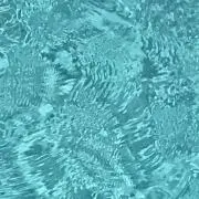 y*の画像