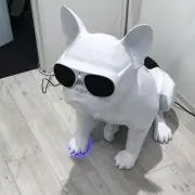 GENの画像