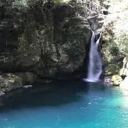 @m プロフィール確認お願いしますの画像