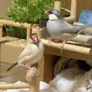 ゆういちの画像