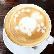 パキラの画像