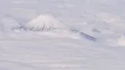 やはた