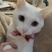 りん プロフ読んでね♪