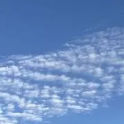 マーチの画像