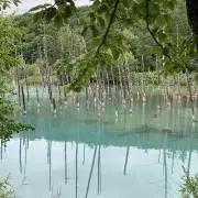 Kaitoの画像
