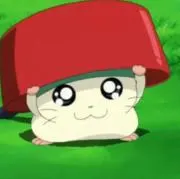 Rの画像