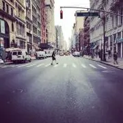 s.t.lの画像