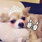 kitakita