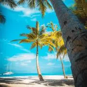 SS