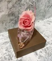 あーちゃ（月末セール♪）の画像