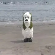 たぬきちの画像