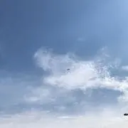 Goreの画像