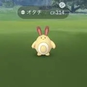 オタチオオタチの画像