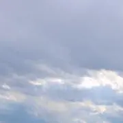 ランピの画像