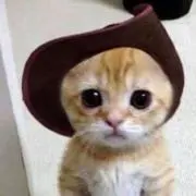 まあ