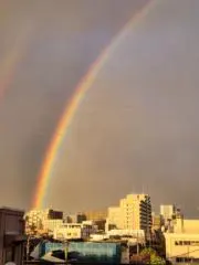 まるるの画像