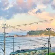 まの画像