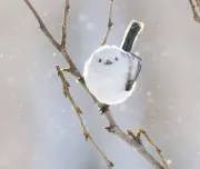 ＊shimaenaga＊の画像