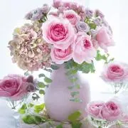 fairy