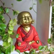 ひろのぼう