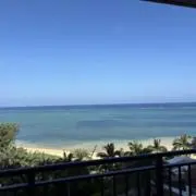 ⭐︎マリメッコ⭐︎