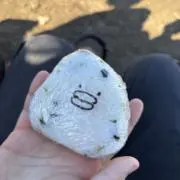 ひなの