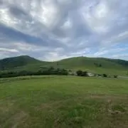 ケニー