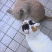 まぁ