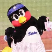 k7miの画像