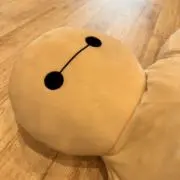 しぃの画像