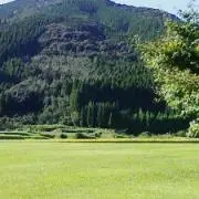 グミの画像