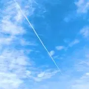 りりーの画像
