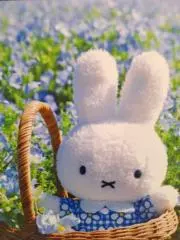 みどりの画像