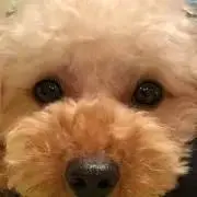 ☆からっ＊しー☆の画像
