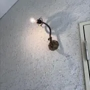 いの画像