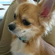 りょーちん