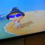 ましゃまろの画像